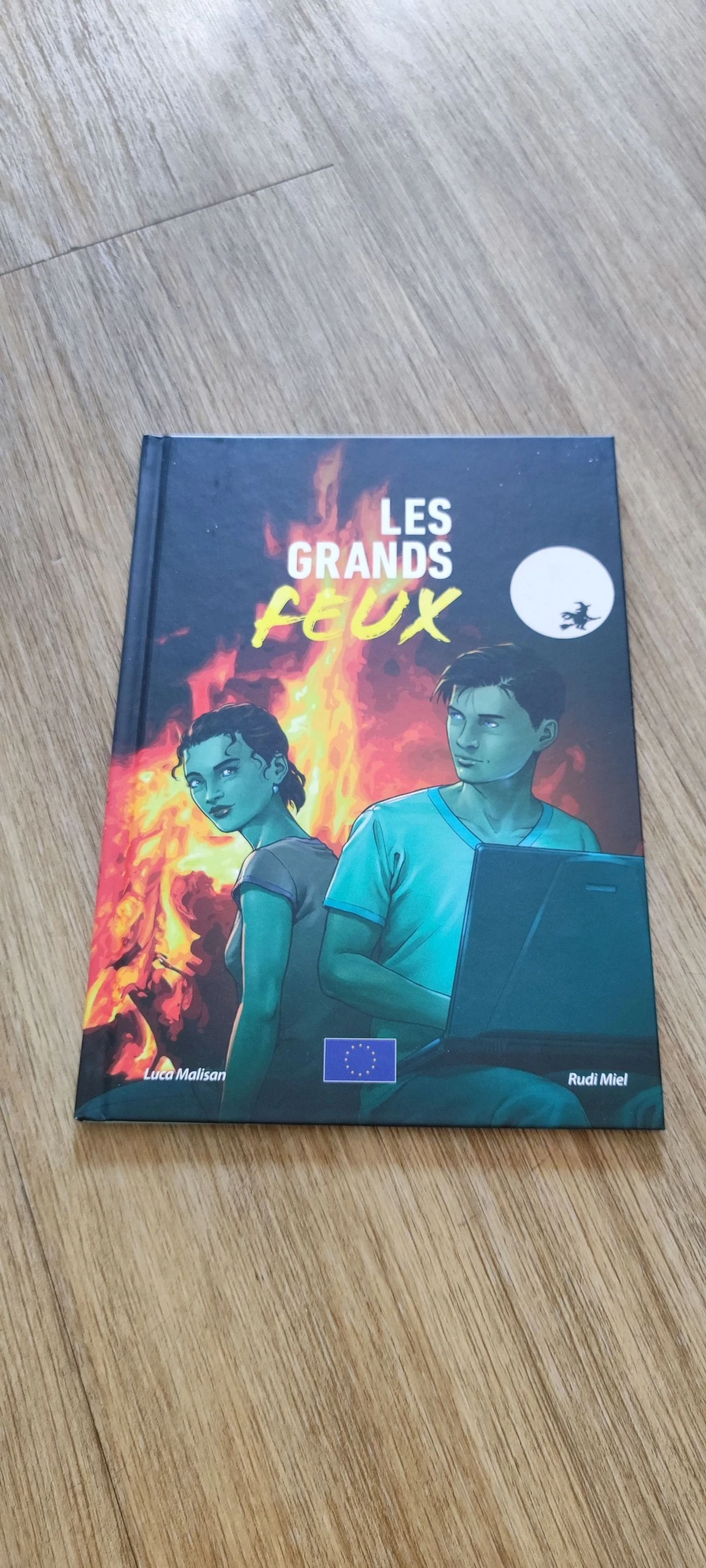 📚 BD "Les Grands Feux" - Luca Malisan & Rudi Miel 📚
